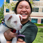 Bandit, a puppy we brought to the UCHealth Employee Appreciation Events