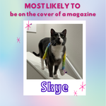 Most likely to be on the cover of a magazine... SKYE!