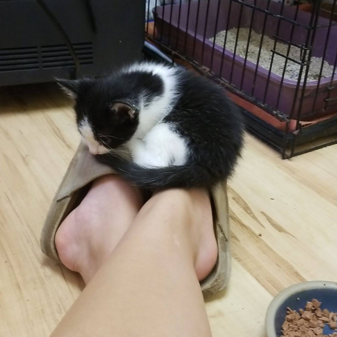 My first time meeting my mom