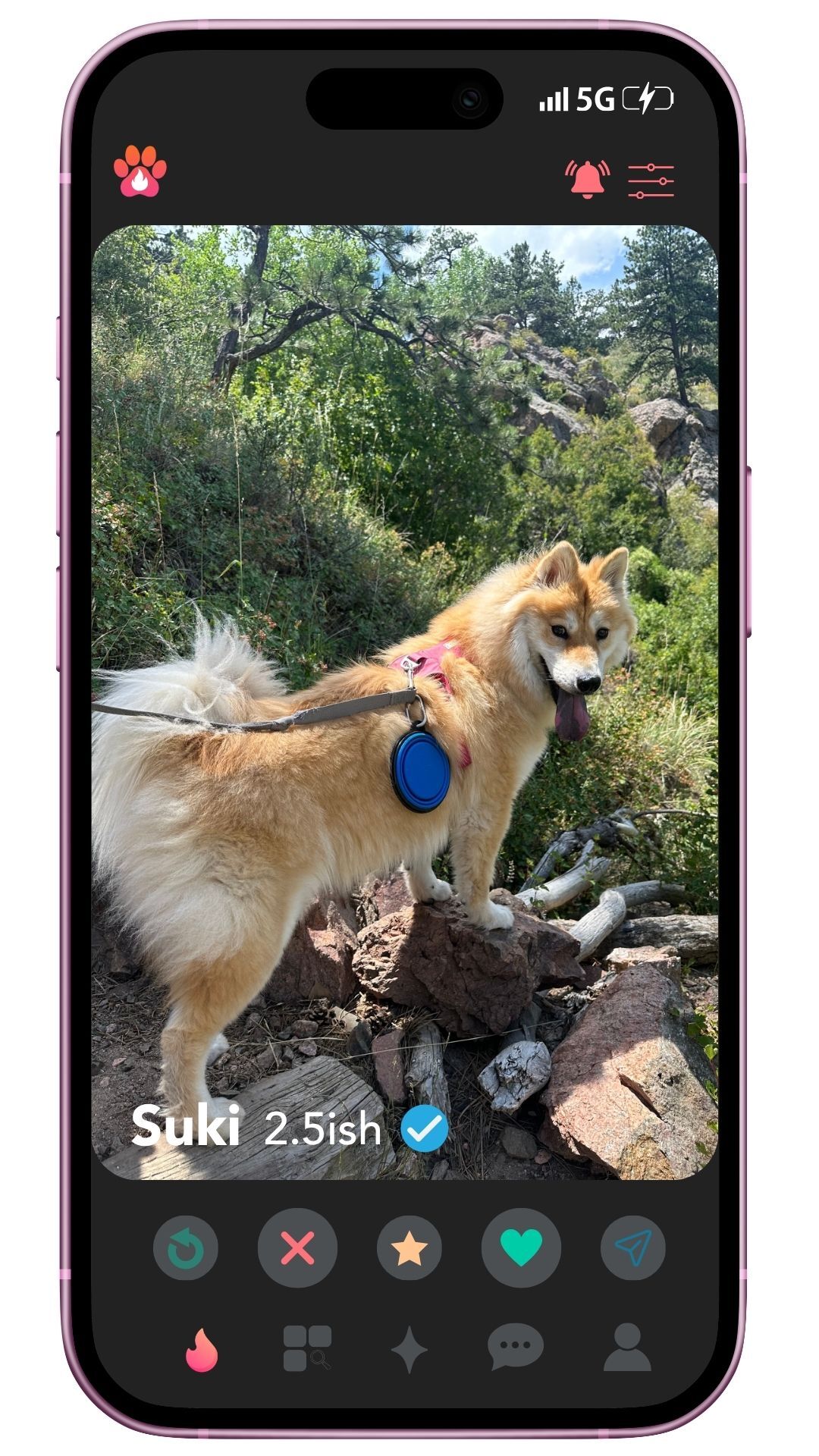 slide 6