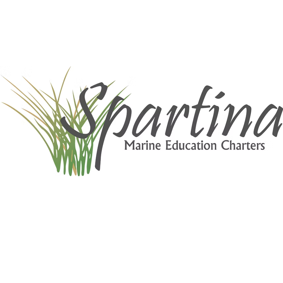 Spartina