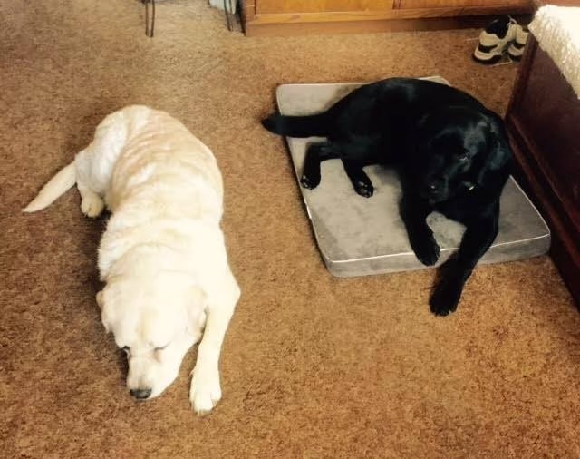Seila and Maggie