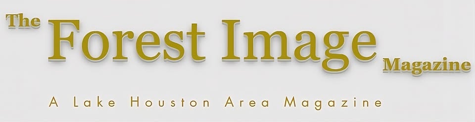 The Forest Image Magazine