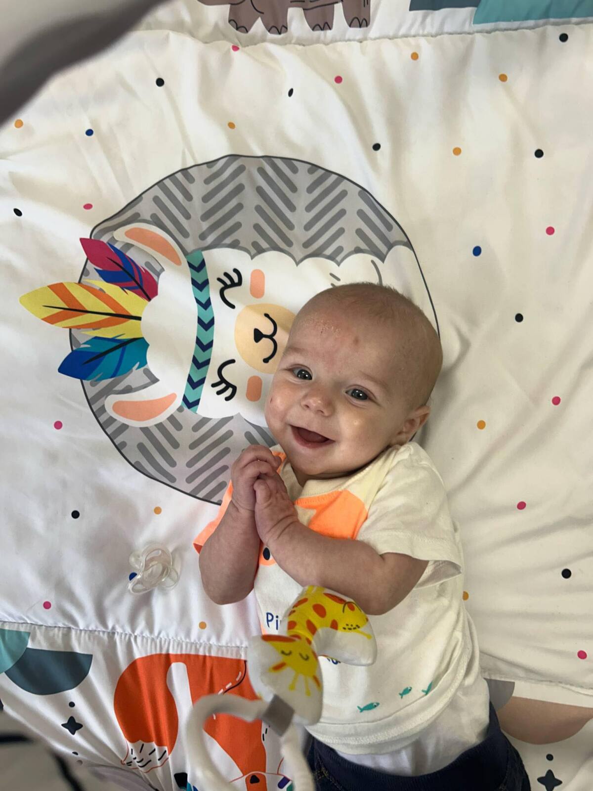 5.5 Months