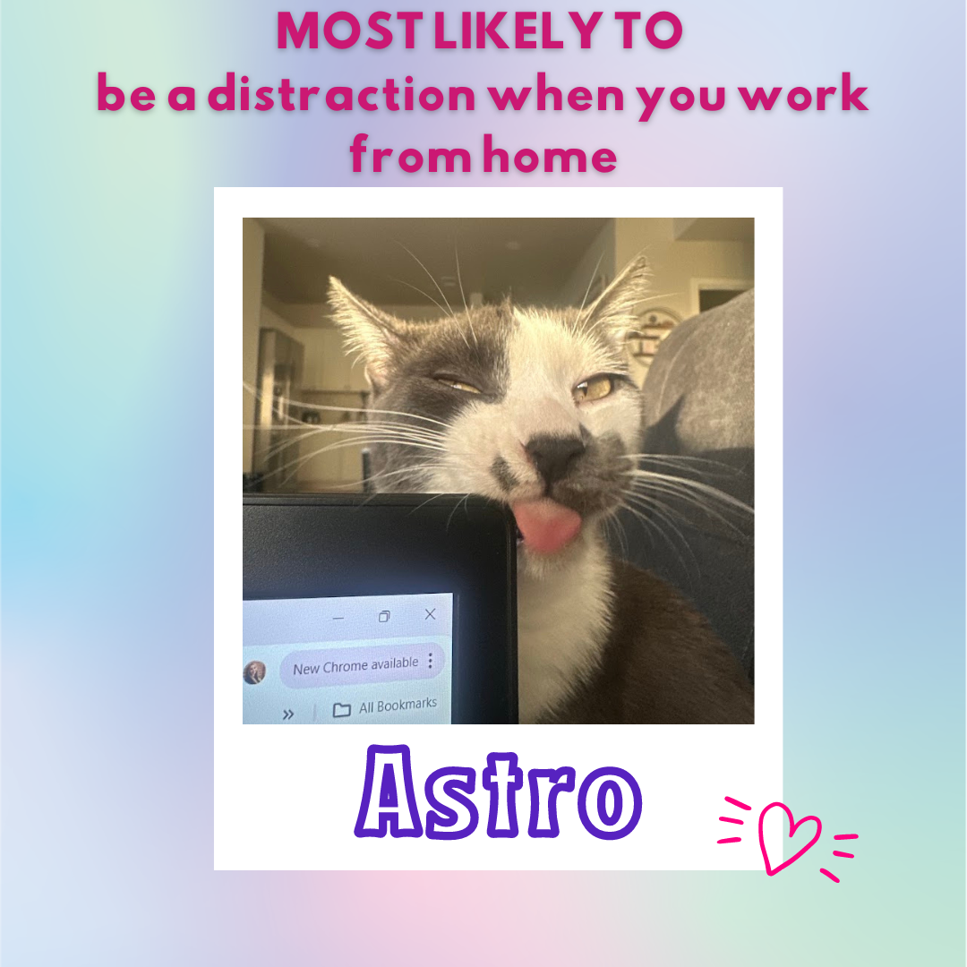 Most likely to be a distraction when you work from home... ASTRO!