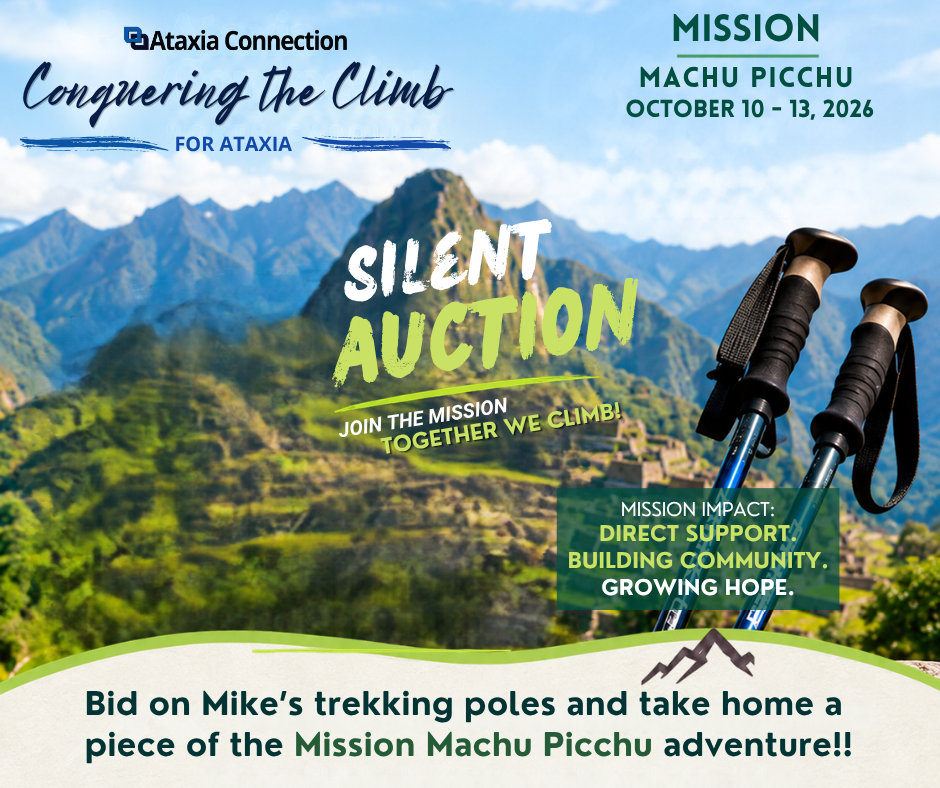 Bid in the Online Auction!