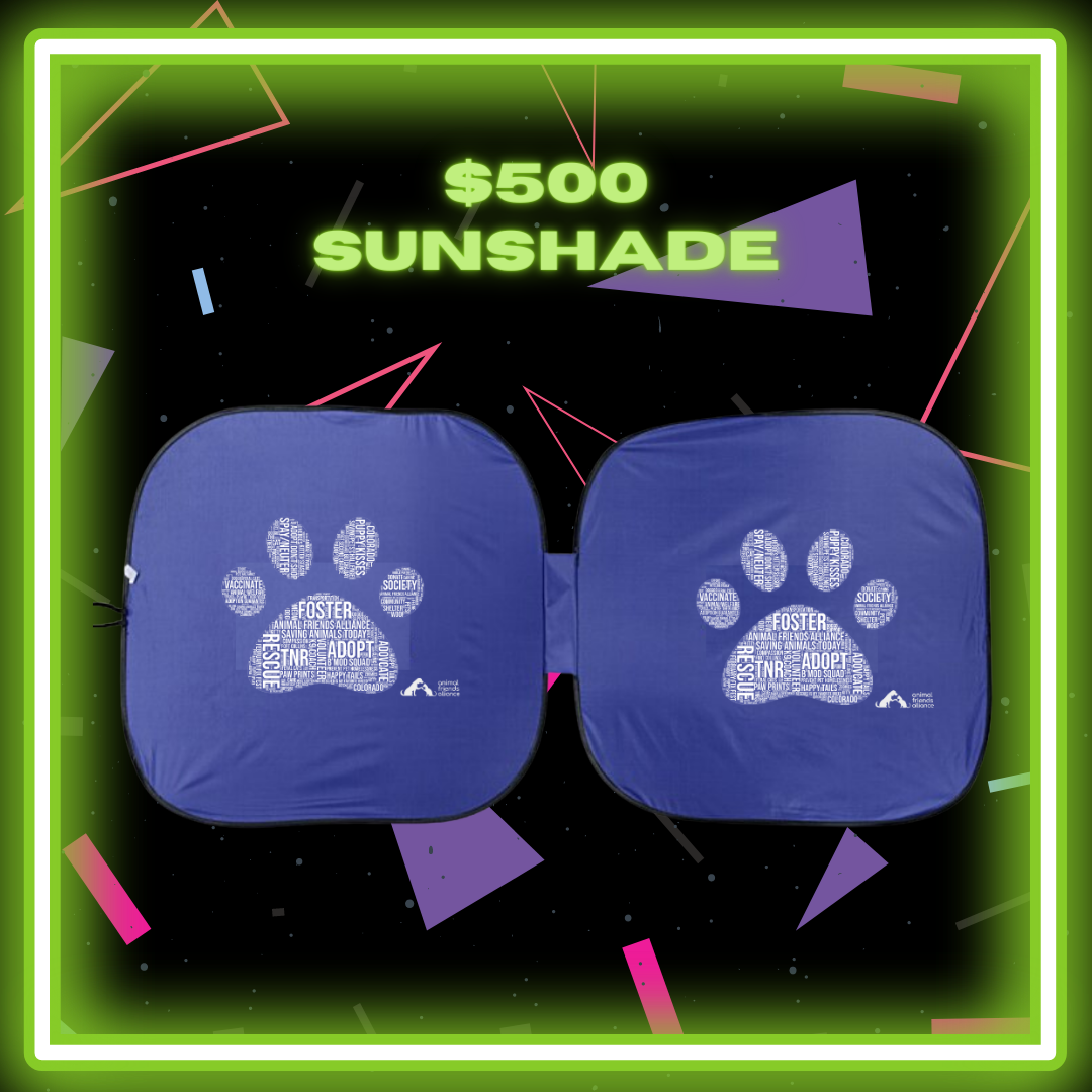 Incentive Prize $500