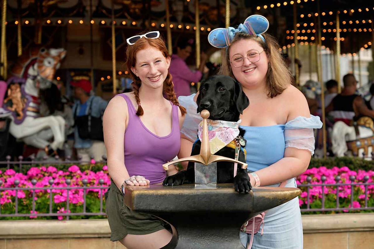 Getting to take one of our darling step pups Verde to Disney for socialization practice!
