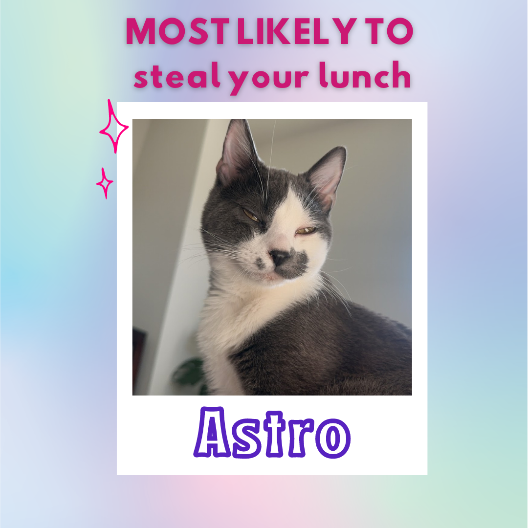 Most likely to steal your lunch right off your plate when you're not looking... ASTRO!