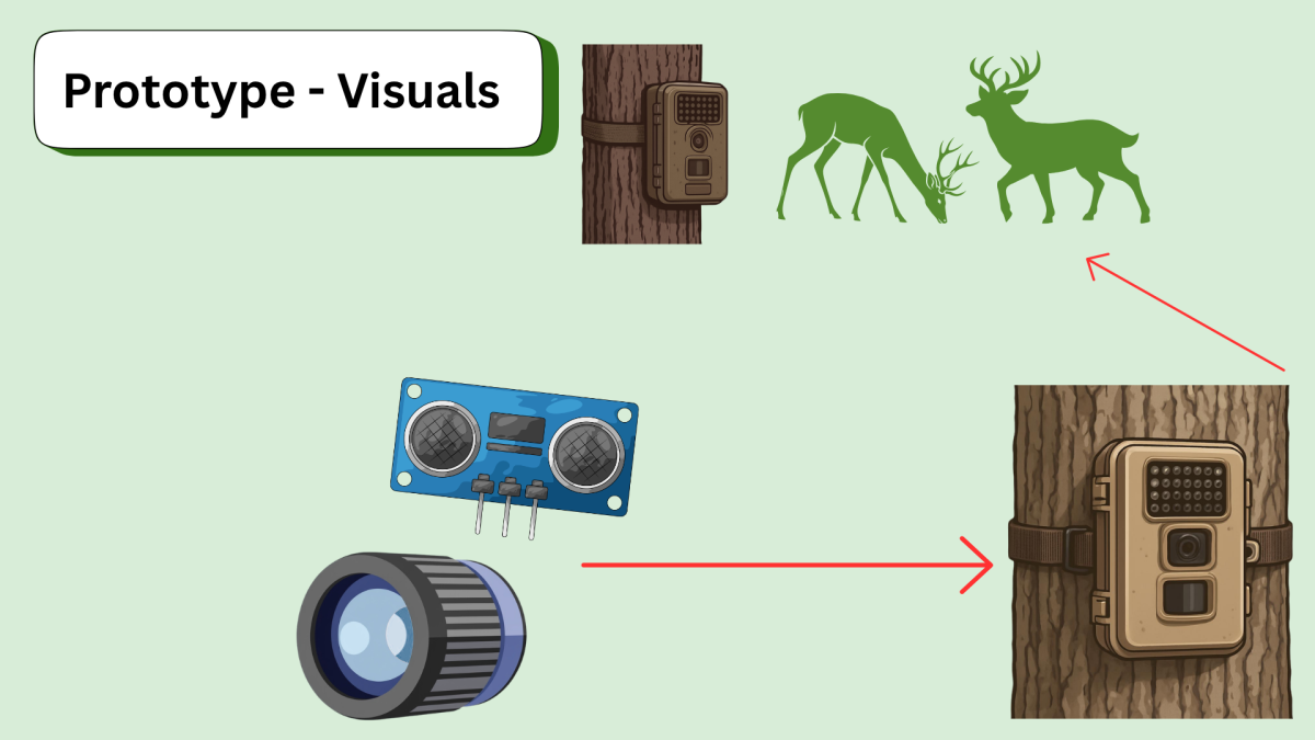 slide 6