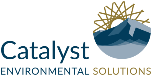 Catalyst Environmental Solutions