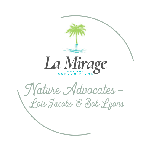 La Mirage