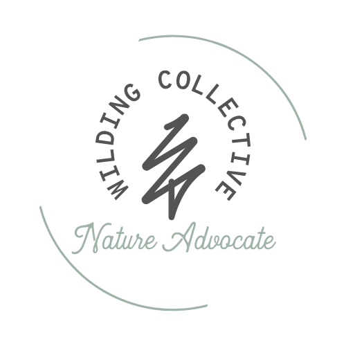 Wilding Collective Hotels LLC