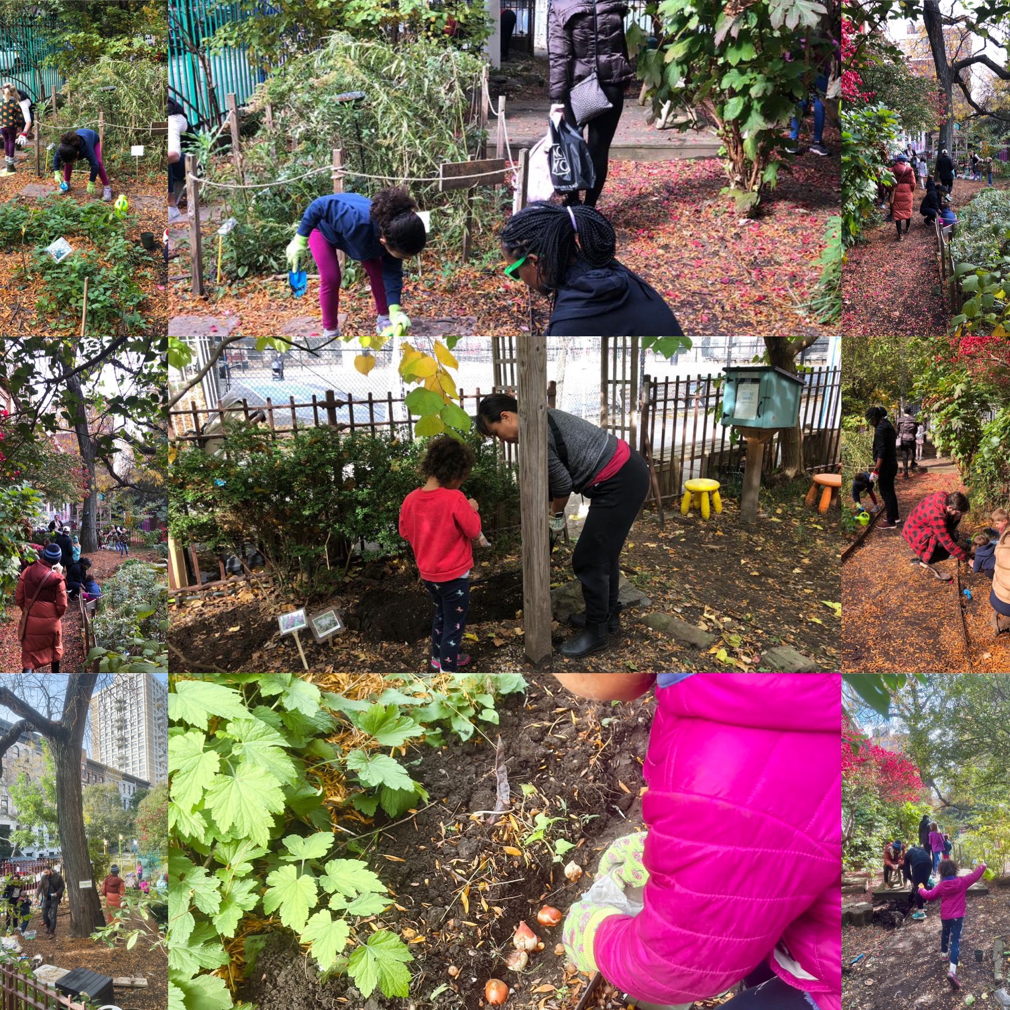 Bulb planting in the 91st garden