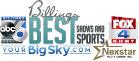 Media Sponsor