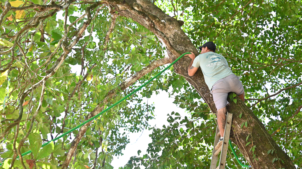 Team Sloth Installing a Sloth Speedway