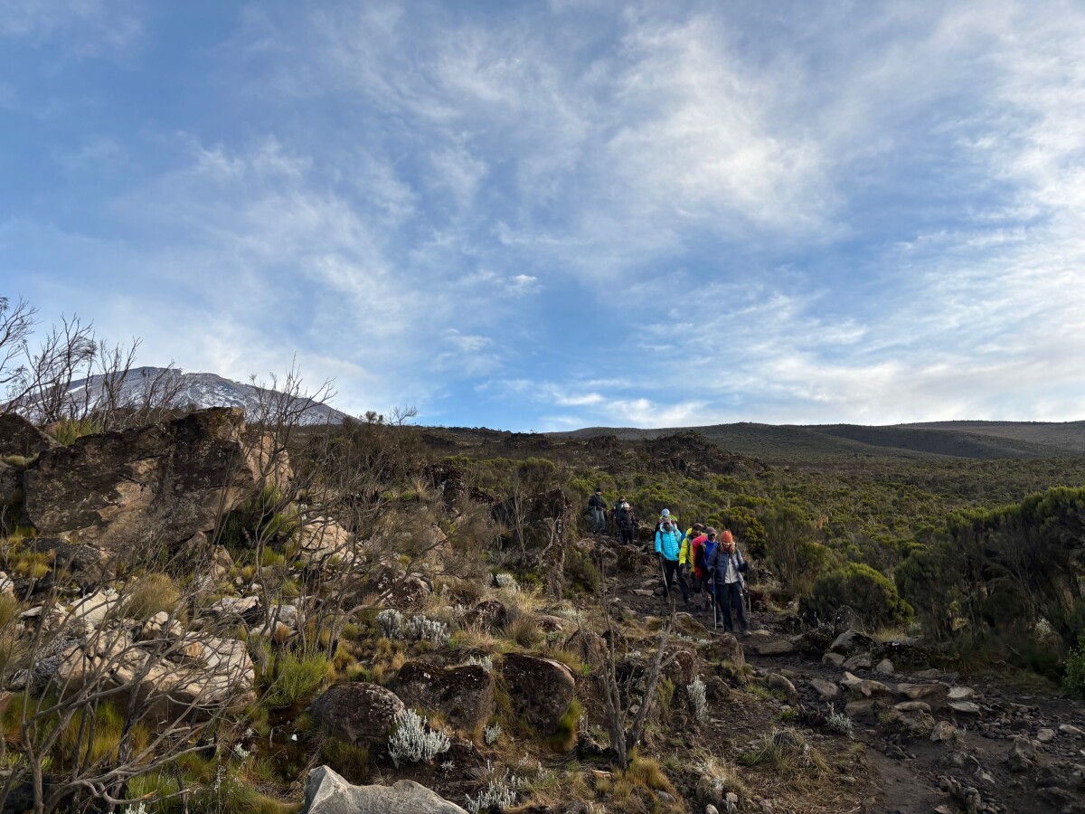 2/16/26: Back in Arusha