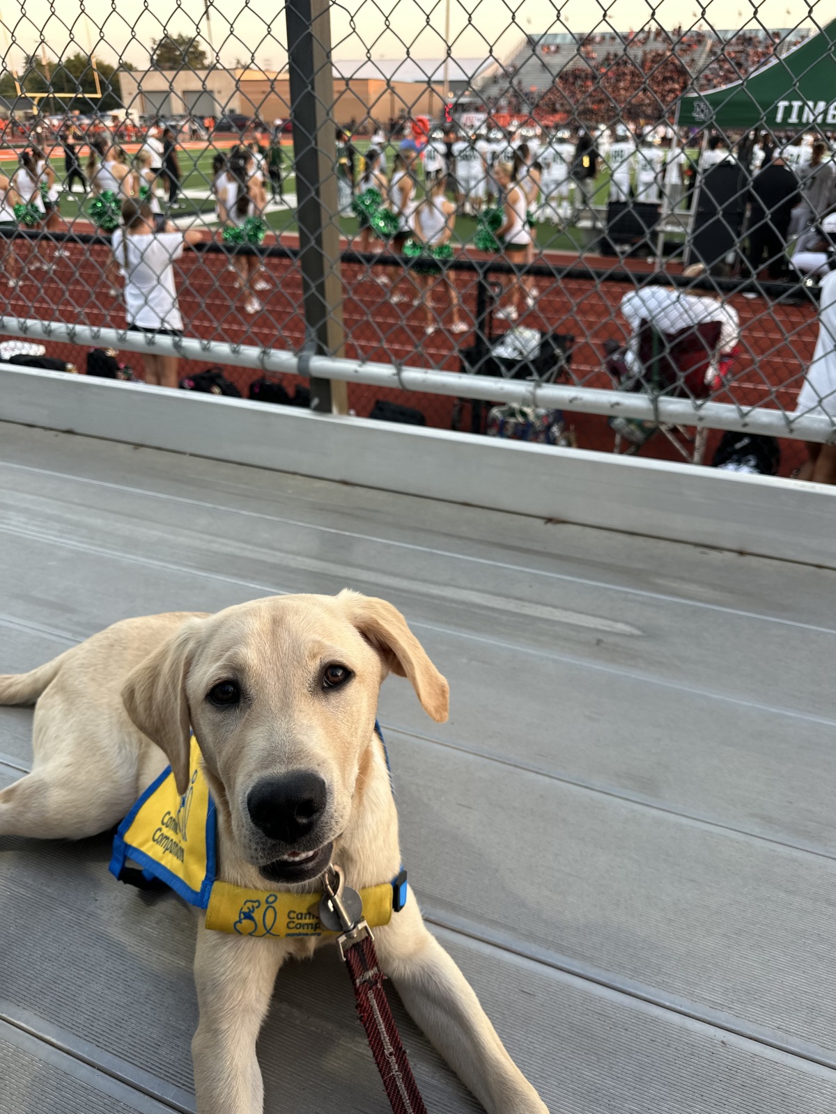 Sports!