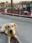 Sports!