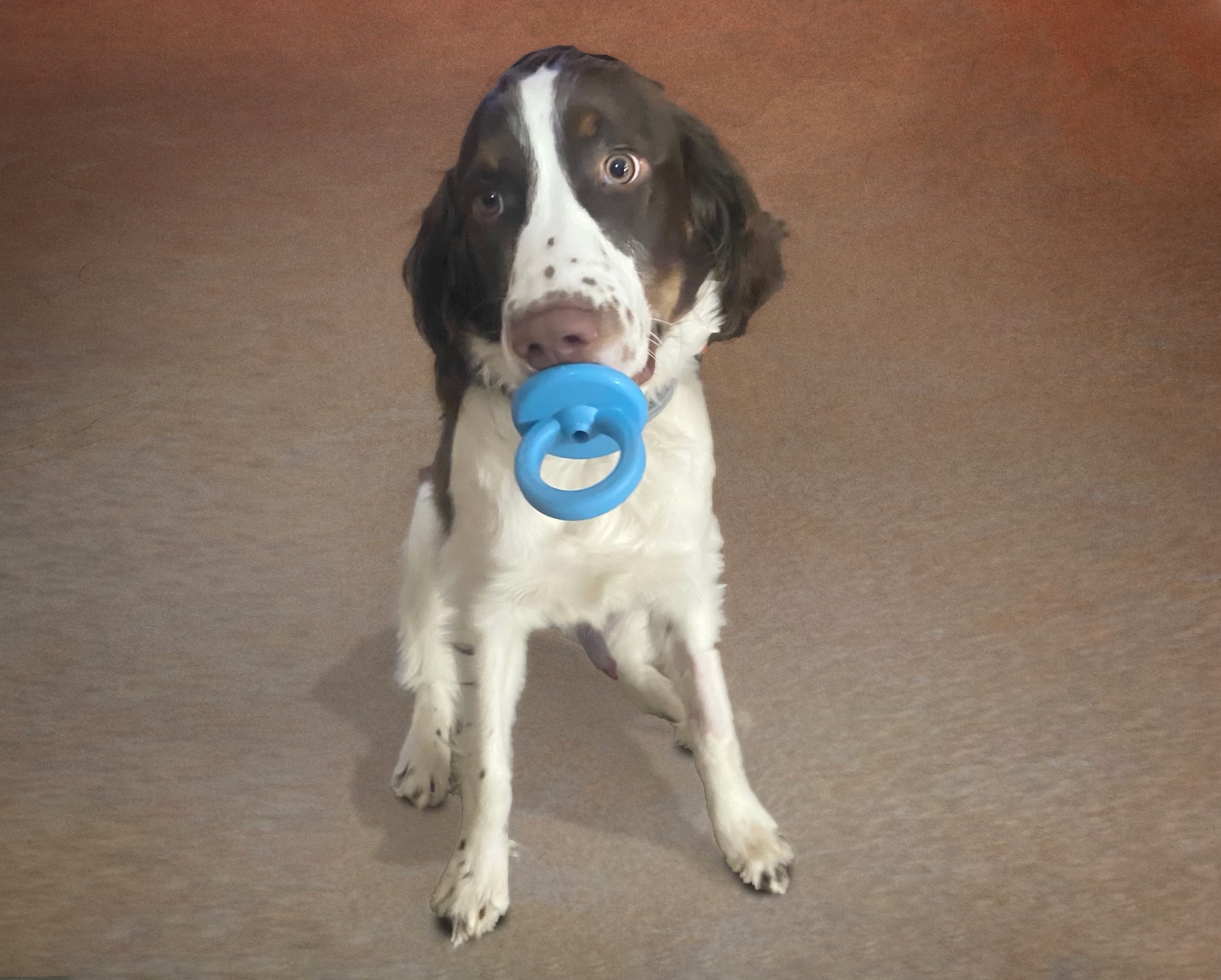 Oliver loves his binky!