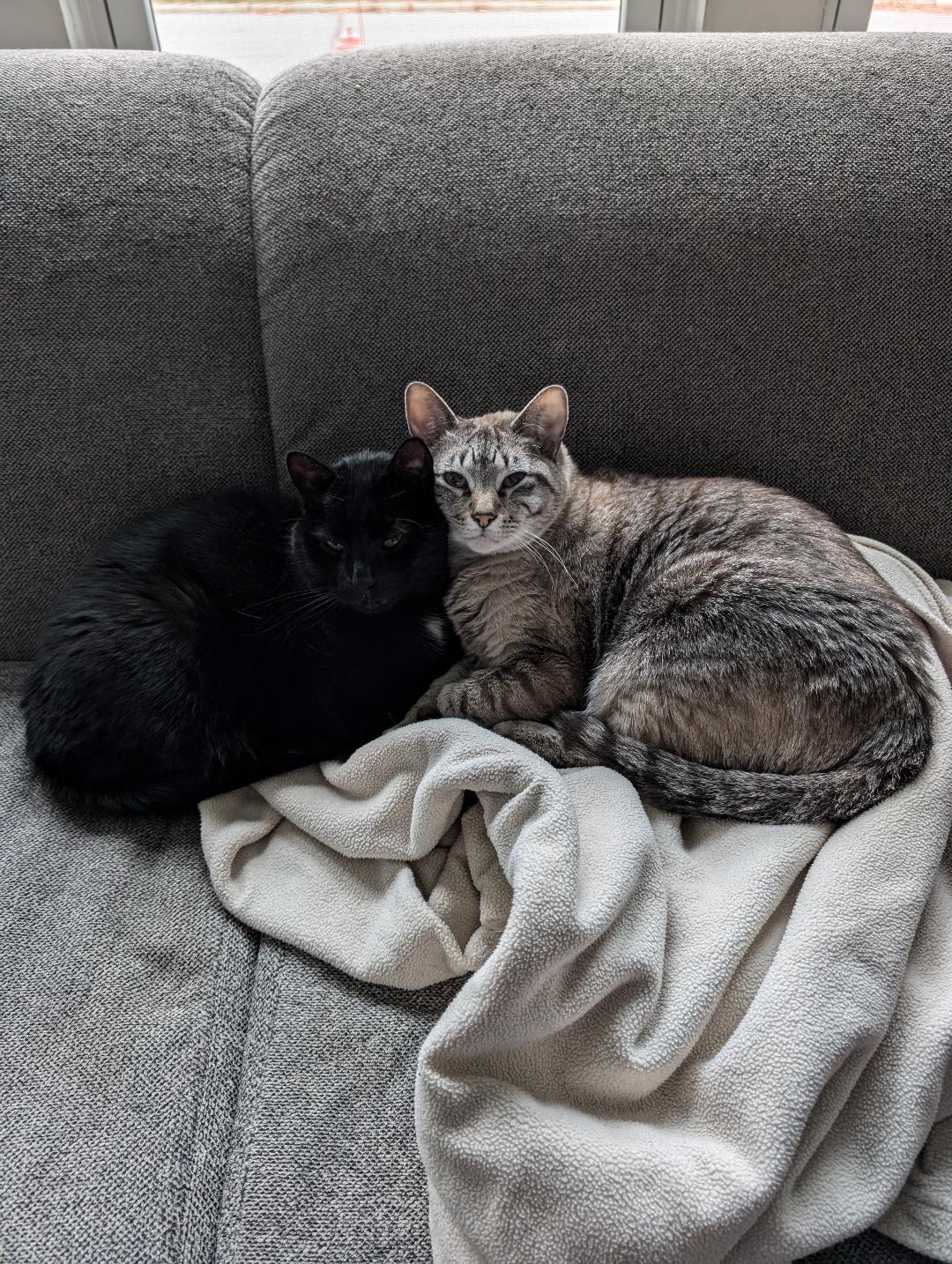 Mom, everyone will think I'm a shadow...