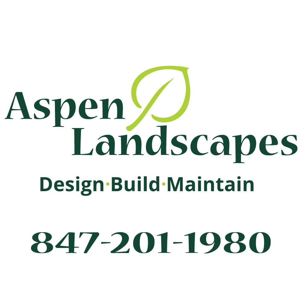 Aspen Landscapes