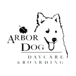 Arbor Dog Daycare & Boarding