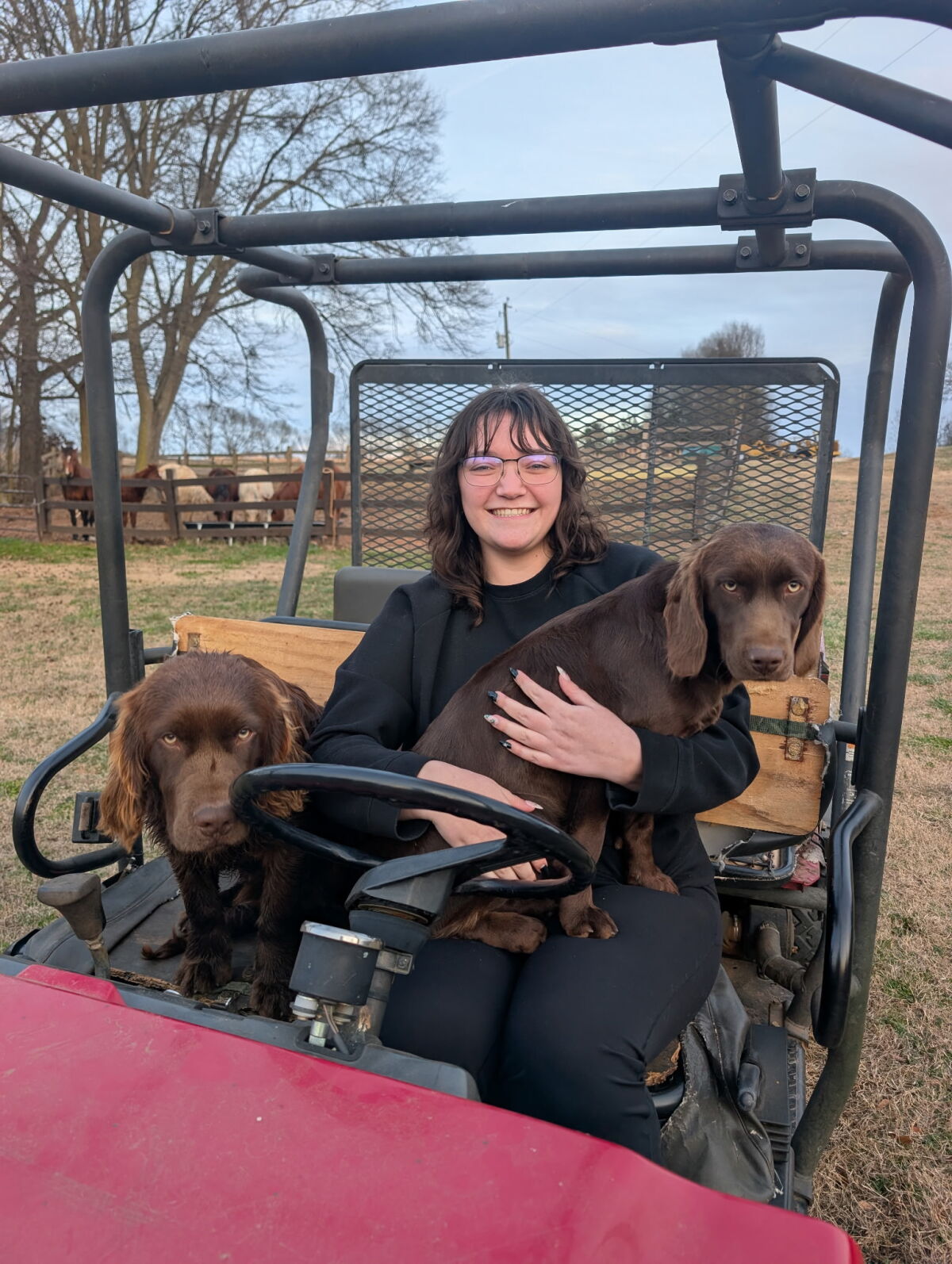 Farm dogs and horses!