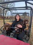 Farm dogs and horses!