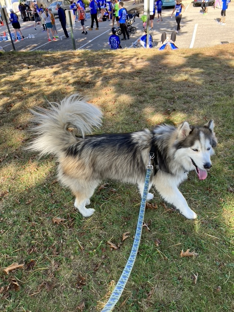 Wolfie after his run in 2023
