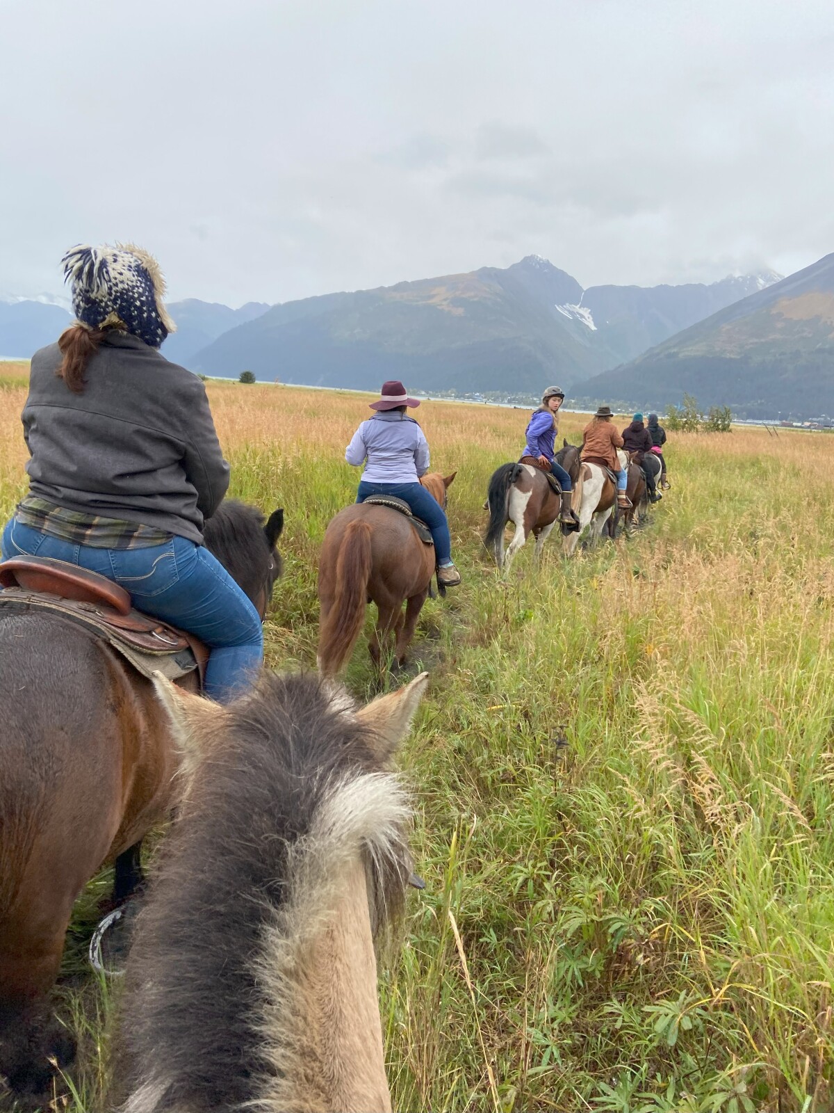 Horseback ride through the marsh