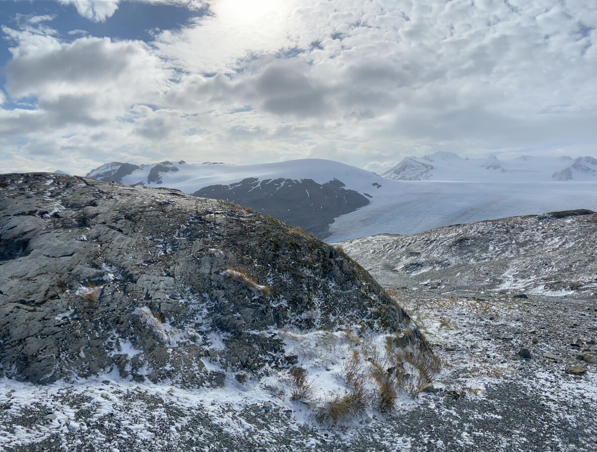 Exit Glacier, Kenai Fjord