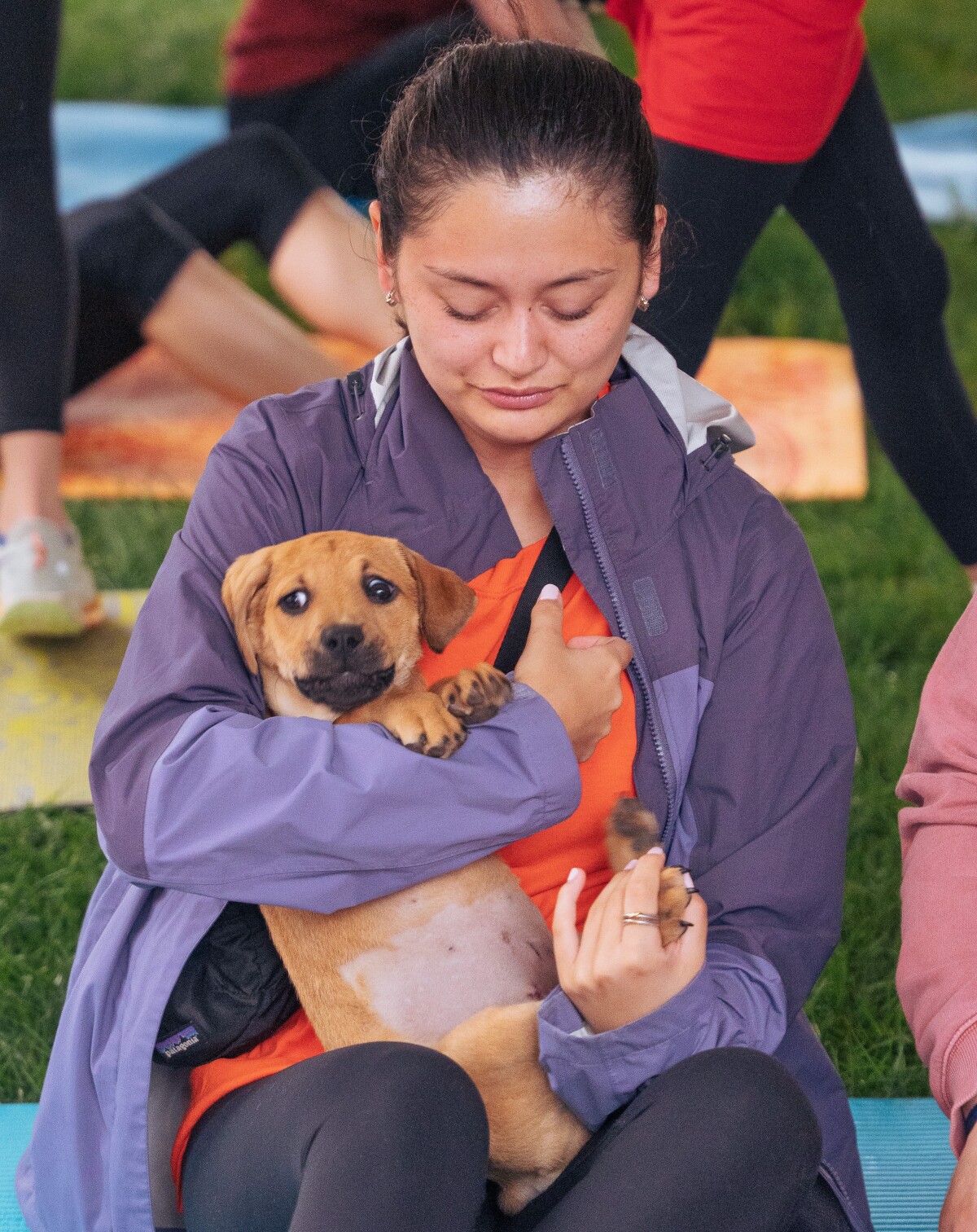 Downward Dog, Anyone?
