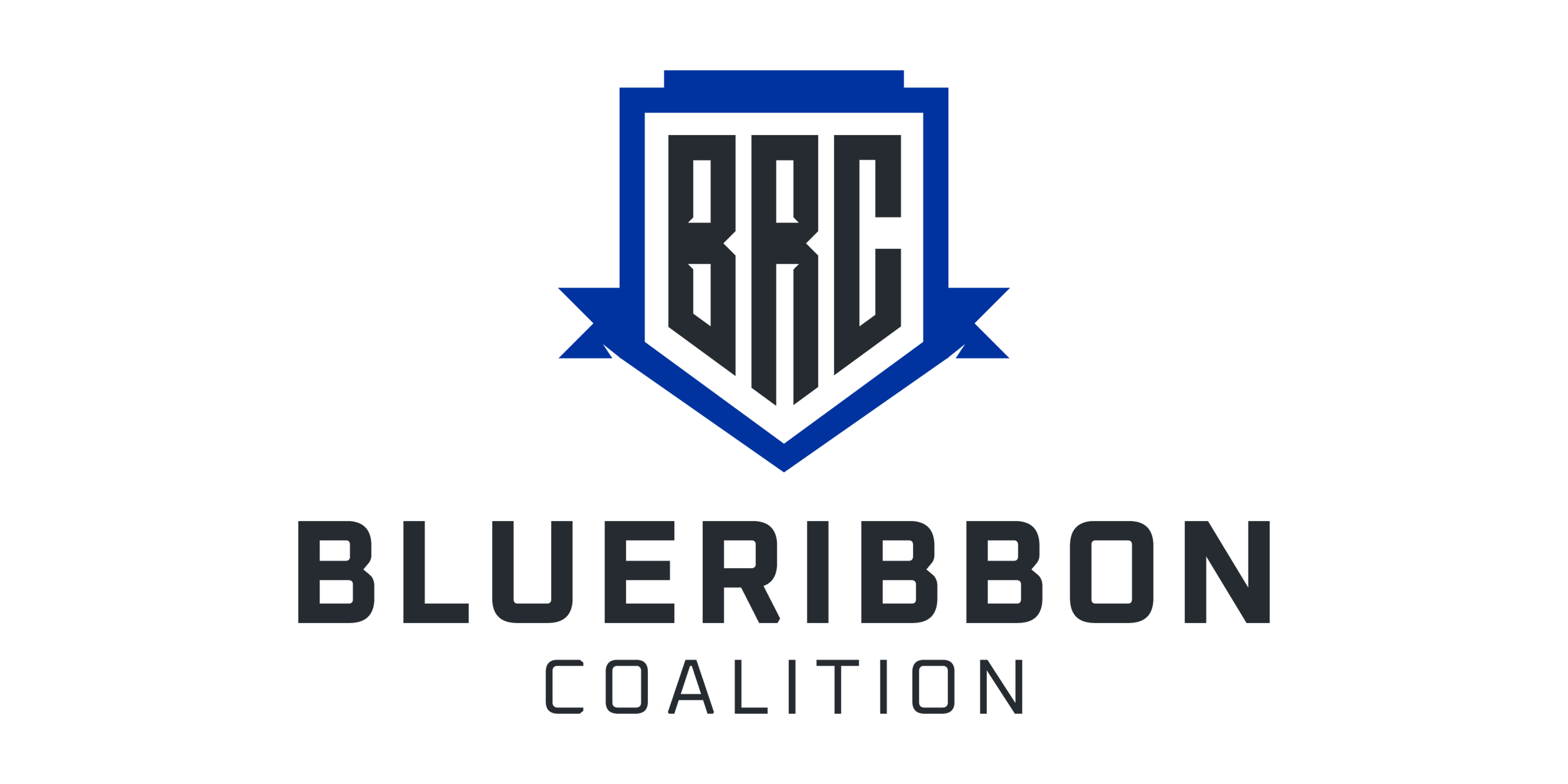BlueRibbon Coalition, Inc.