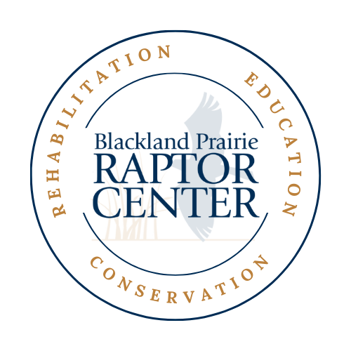 Blackland Prairie Raptor Center