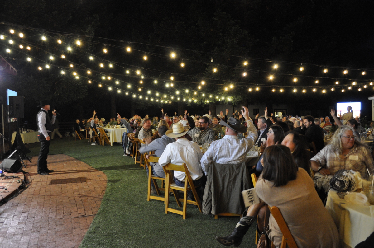 Live Auction at Buckles and Bling