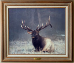 Elk Print