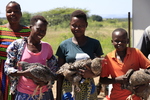 Community members get together at Shade's sustainable chicken coop