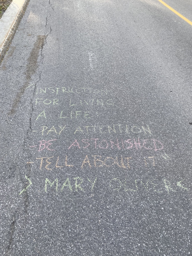 Sidewalk chalk with quote from a supporter