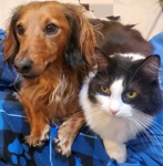 Meet our Cover Winner Otto and Ophelia!