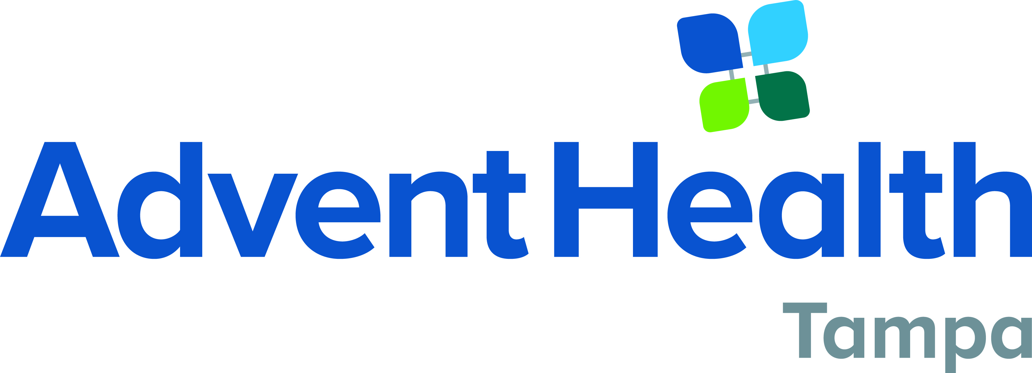 AdventHealth Tampa