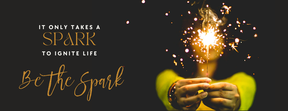 Ignite Life "Be the Spark" End Of Year Giving Campaign