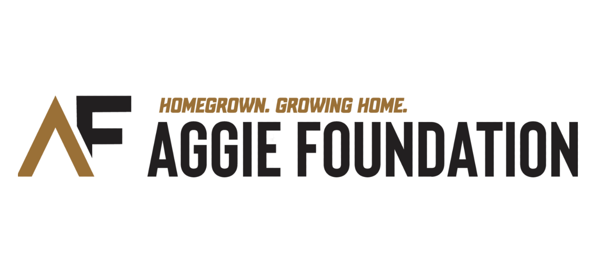 Aggie Foundation