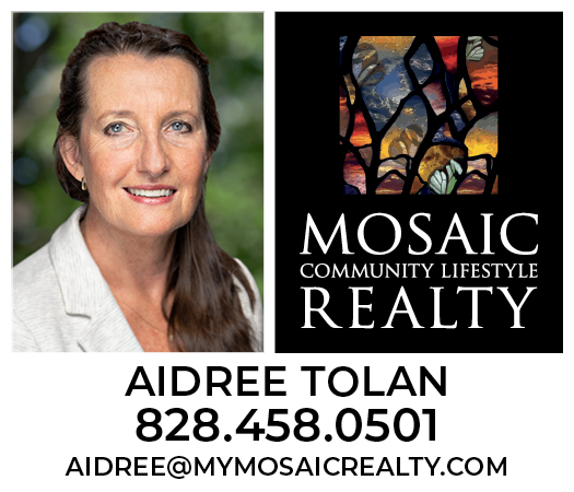 Aidree Tolan-Mosaic Community Lifestyle Realty- Pin Sponsor $500