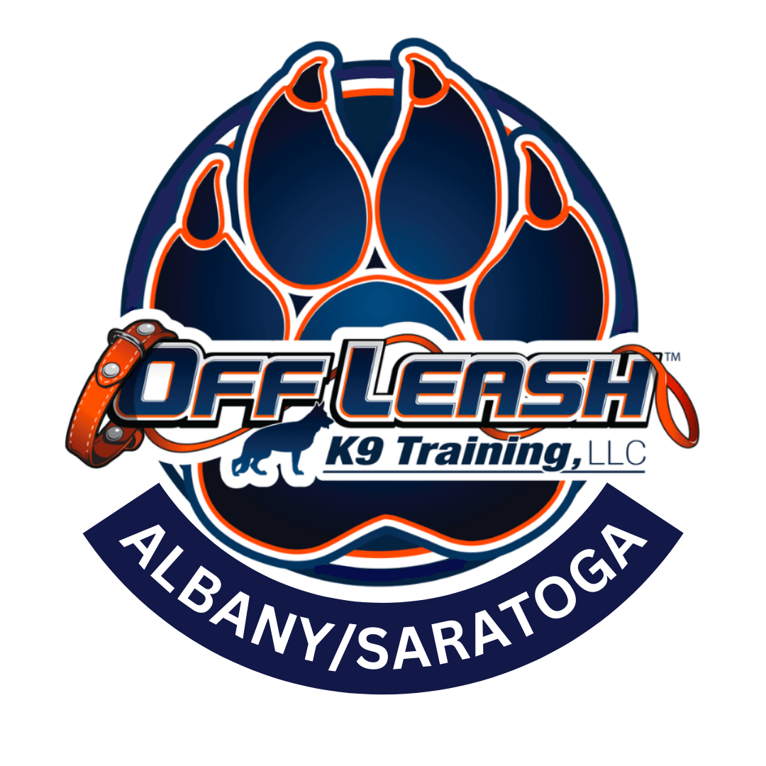 Off Leash K9 Training Northeast
