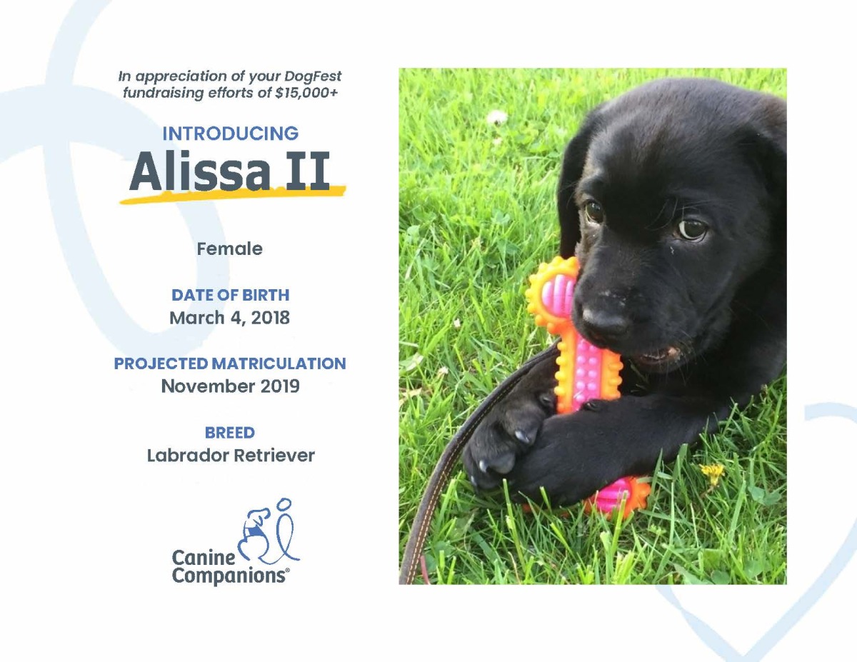 Change of career Alissa, the first canine companion puppy named by the Trucco family.