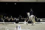 Beautiful freestyle dressage is performed to the live symphony under the lights at the Jim Brandon Equestrian Center.