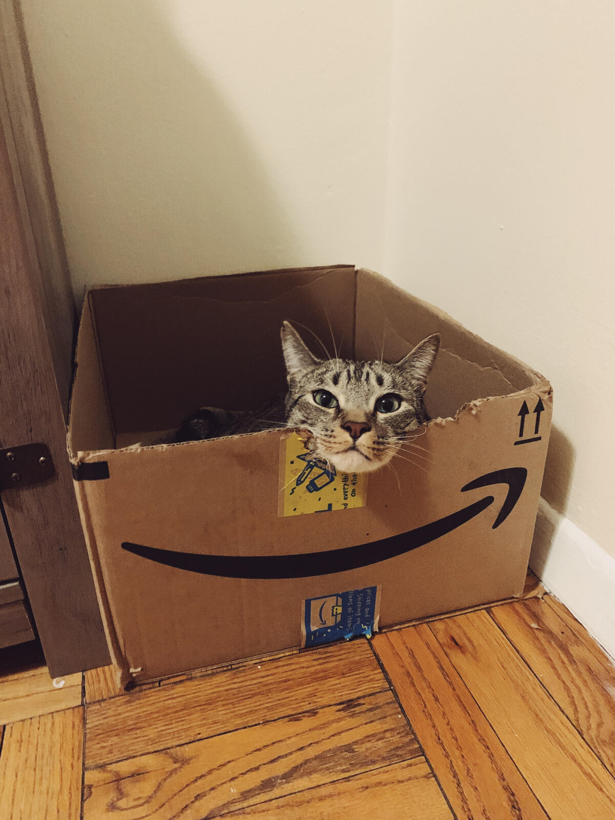 Amazon Delivery