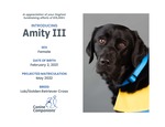 Service dog Amity, named in honor of Alissa