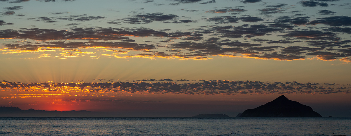 The Friendship Paddle 2025 for Nick Fields